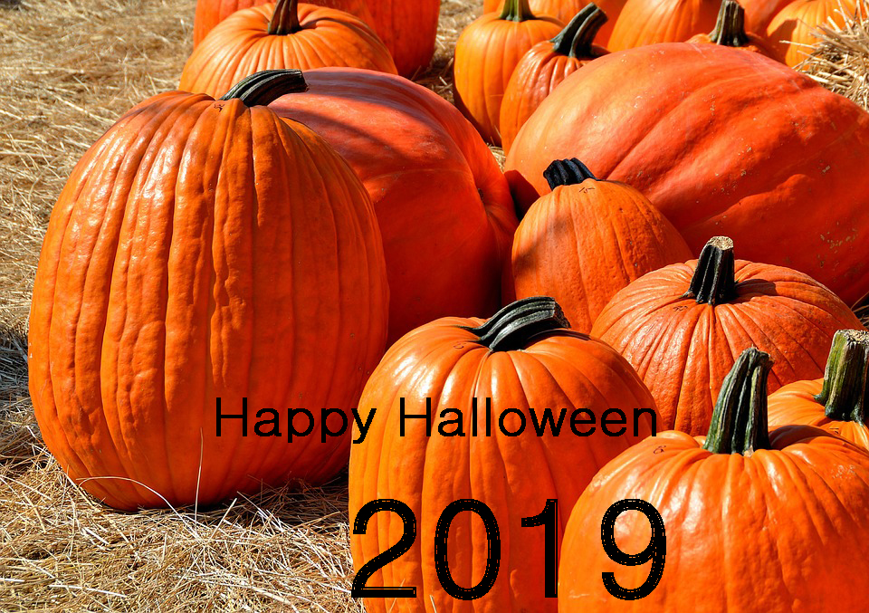 Happy Halloween Wallpaper 2019 Images For WhatsApp and Facebook